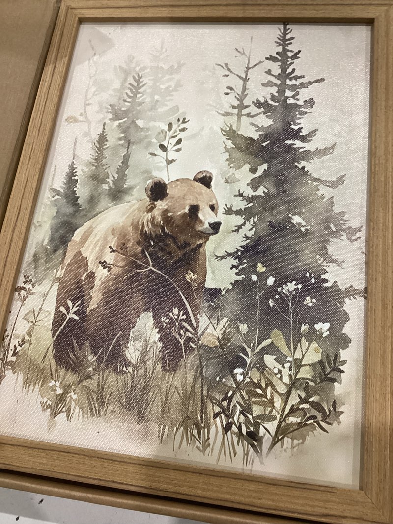 Condition photo showing Good Condition for framed woodland wall art nursery decor set of 3, cute wild animals bear fox deer canvas wall art, nature watercolor prints, animal pictures wall decor for baby room kids bedroom – 12x16 inch cute animals framed 16l" x 12w"