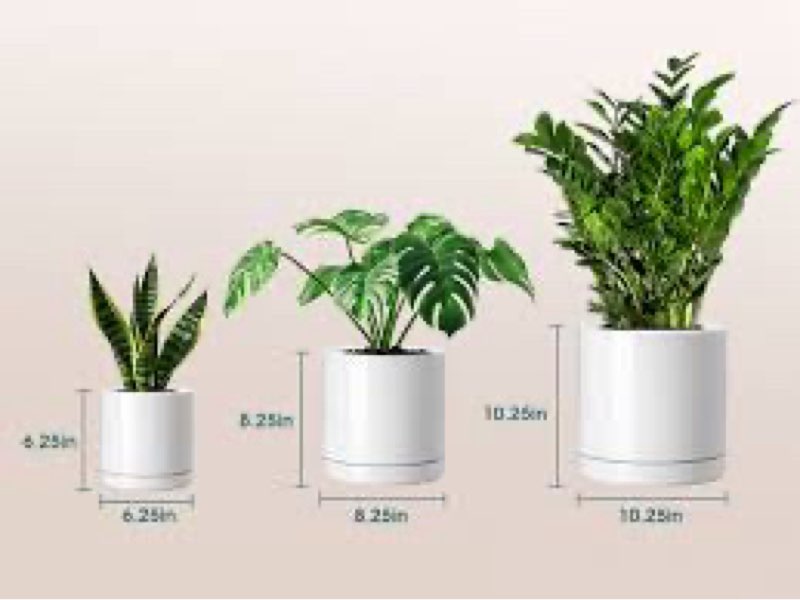 vancasso ceramic planters, plant pots for indoor plants