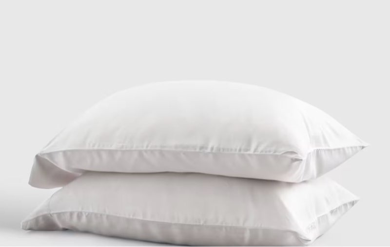 quince   european bamboo pillowcase set of 2(king)white