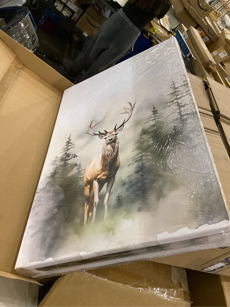 Condition photo showing New/Like New for 3Pcs Framed Woodland Nursery Canvas Wall Art Animals Wall Decor Forest Prints Posters Deer Bear Fox Watercolor Pictures Paintings for Boys Room Girls Room 16x24in Fox Deer Bear Canvas 24"L x 16"W