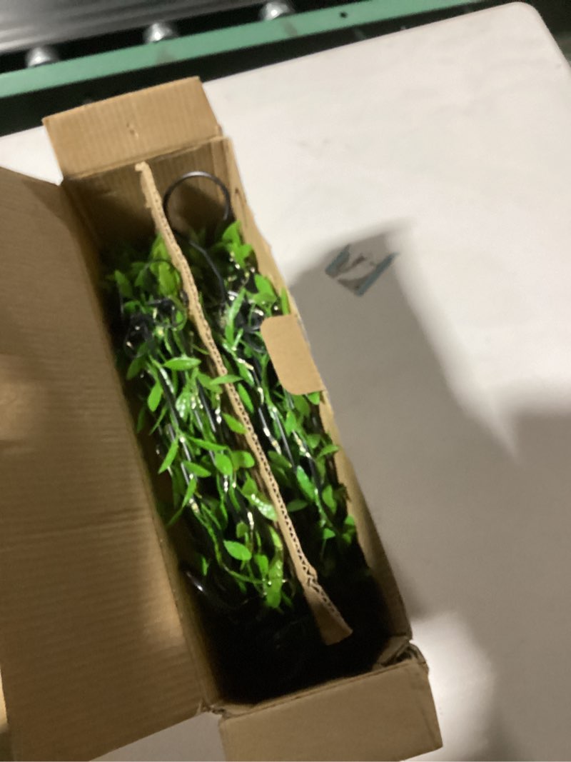 Condition photo showing Good Condition for Flacchi Hanging Iron Sphere Lights with Artificial Greenery – 12Inch 120 LED Waterproof Outdoor/Indoor Decor Ball Light with Timer & 8 Modes – 2 Pack for Garden, Christmas, Weddings (Warm White) Cool White