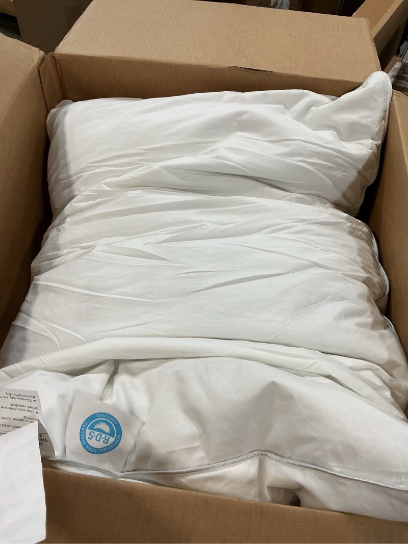 Condition photo showing Good Condition for zibroges Feather Pillows Queen Size Set of 2 - Hotel Goose Down Bed Pillow for Sleeping, Soft 600 Thread Count Cotton Cover, Fluffy Support Surround Fill Polyester for Side, Back, Stomach Sleepers Medium Queen Size (Pack of 2)
