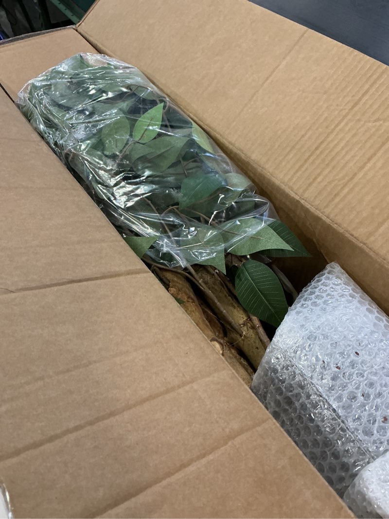 Condition photo showing New/Like New for 4ft ficus artificial trees with natural curved trunks, 48" tall lush faux tree for home decor indoor, green lifelike fake ficus tree artificial plants 1 4ft