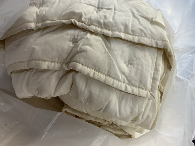 Condition photo showing Good Condition for bamboo dream quilt set, full/queen, ivory quince