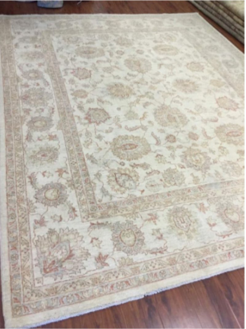 Hand Knotted Pakistani Rug-Ziegler-Ivory/Beige/Multi-(9x12)