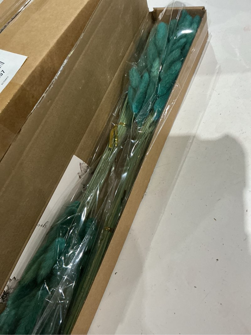 Condition photo showing Good Condition for 120 pcs teal dried pampas grass decor, 17-inch pompas floral, dry flowers for decoration, pampas grass in all, bunny tails dried flowers for boho wedding decor