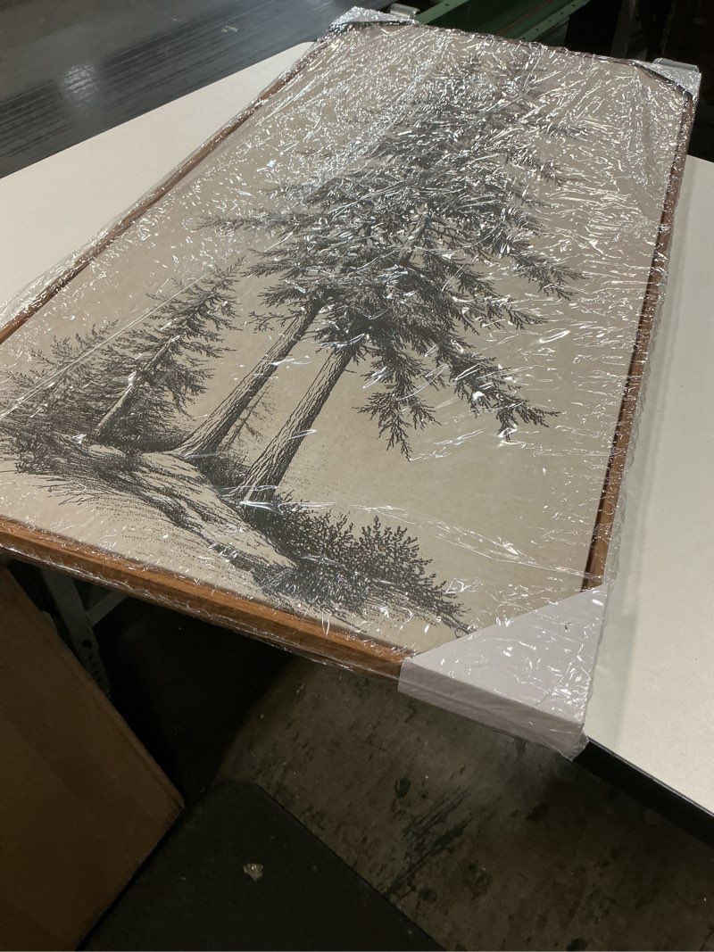 Condition photo showing New/Like New for Framed Vertical Vintage Sketch Tree Living Room Wall Art, Large Black Beige Rustic Pine Artwork for Walls, Classic Antique Nature Forest Canvas Painting Print for Office Kitchen Foyer Stair 20x40 Inch 40"L x 20"W Pine Tree