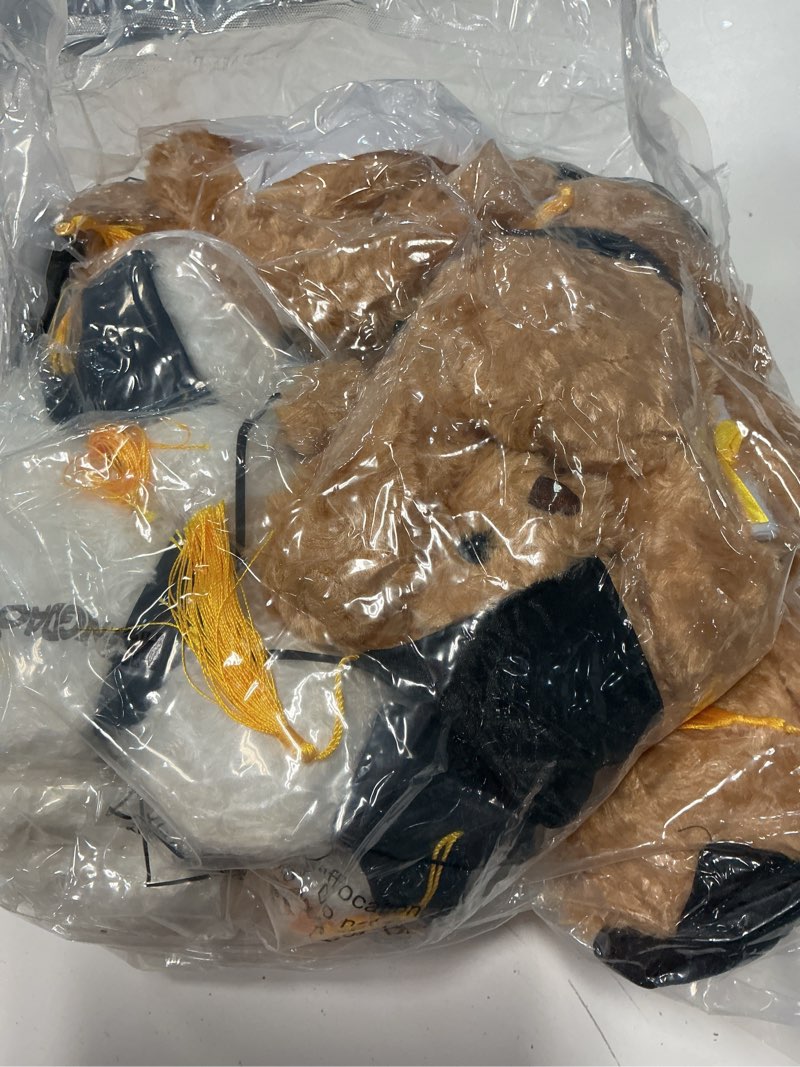 Condition photo showing New/Like New for hungdao 12 pcs graduation plush bear bulk 10 inch stuffed animal bear with hat tassel diploma class of 2026 graduation gift for kids friend preschool relatives college party favors accessory(pink)
