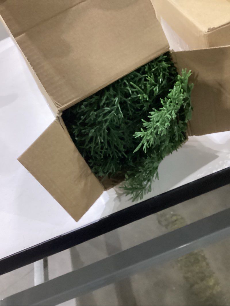 Condition photo showing New/Like New for Giegxin 6 Pcs Real Touch Cedar Stem 36 Inch Modern Artificial Christmas Cedar Pine Branches Realistic Greenery Picks Stem Fake Evergreen for Vase Decorating Wreath DIY Crafts Home Decor 6 36 Inch