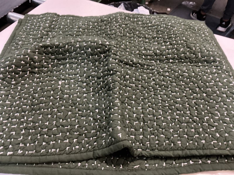 Condition photo showing Good Condition for quince handstitch sham set hunter green
