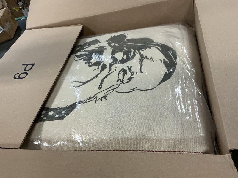 Condition photo showing Good Condition for Primitives by Kathy Flour Sack Style Throw Pillow, 25" x 25",White