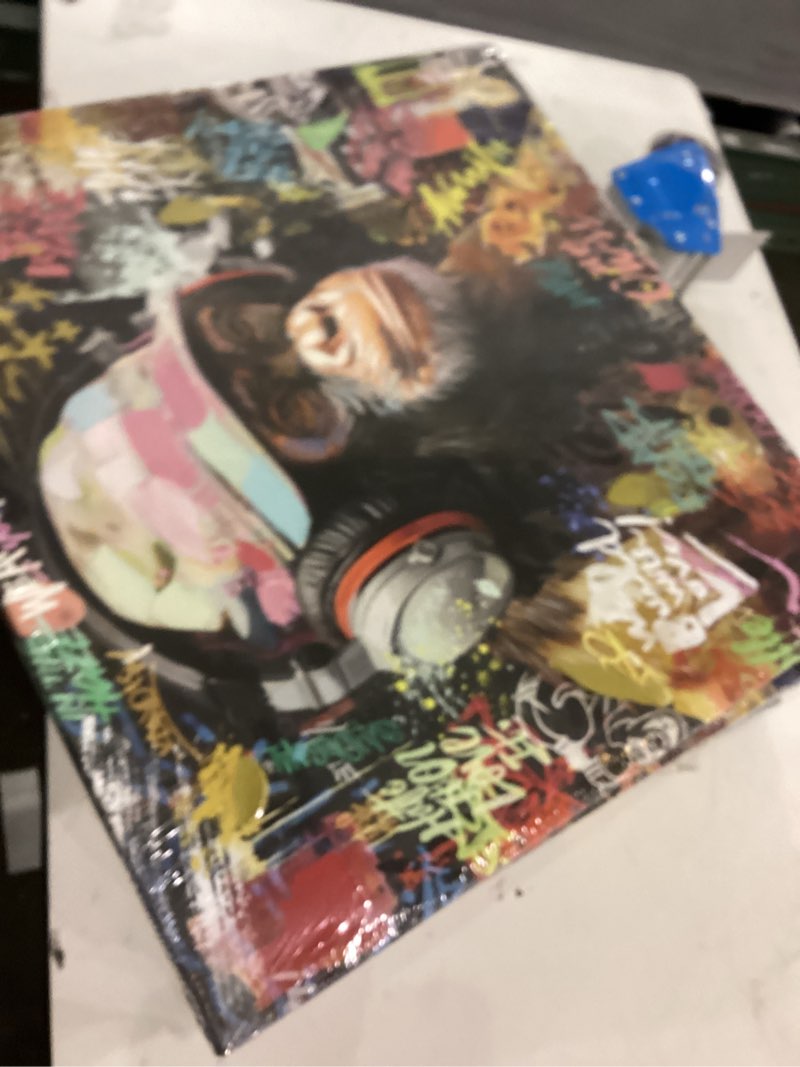 Monkey canvas painting