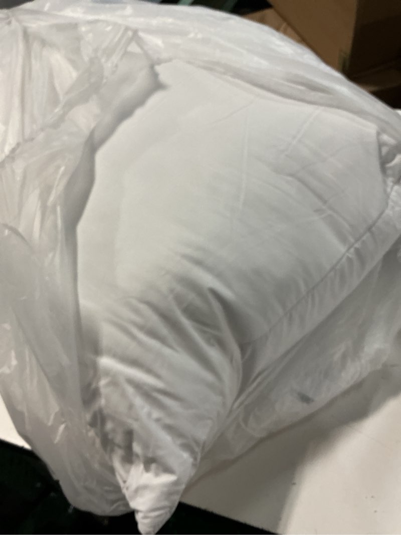 Condition photo showing Good Condition for puredown® 30 x 30 Feather Down Throw Pillow Insert, 1 Pack Euro Pillow for Decorative Bed Cushion Couch Sofa 30 X 30 Inch(Single) Classic White (Single)