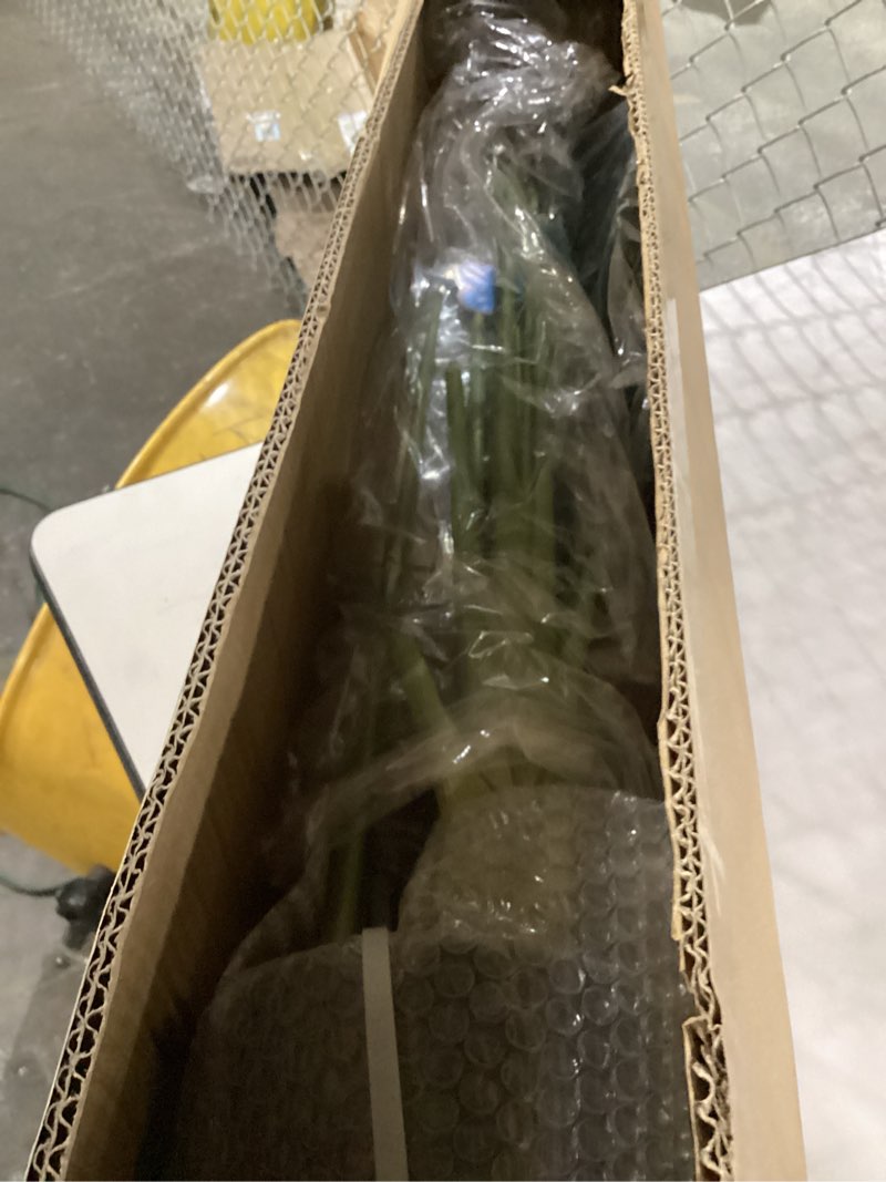 https://lotting-media.assets.bidfta.com/lotting_cdd628c4-2a39-4cbd-ba01-15c29bbd1953