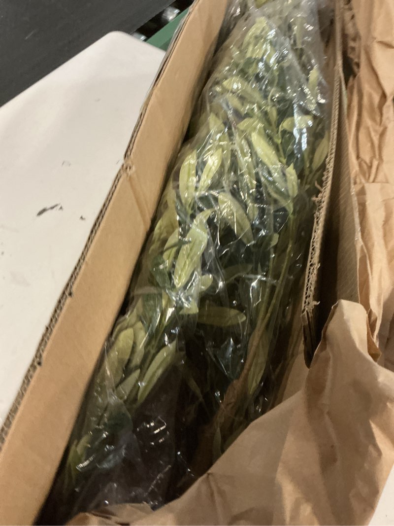 Condition photo showing Good Condition for Bellacat Faux Olive Tree 7ft?Olive Trees Artificial Indoor with Natural Wood Trunk and Realistic Leaves and Fruits. 7 Feet(84in) Fake Olive Tree for Home House Office Décor. 1 7ft