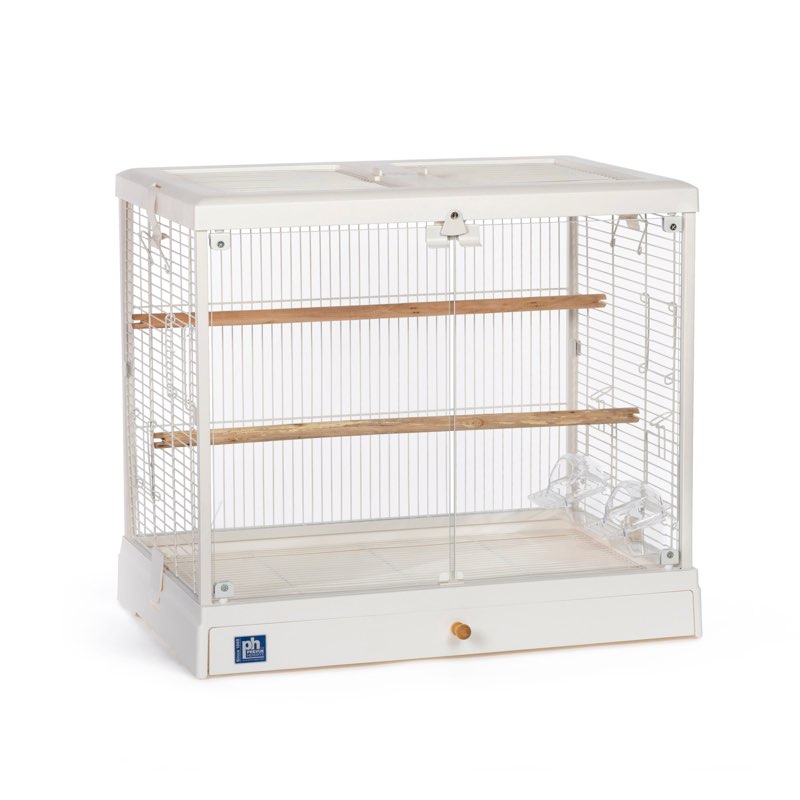 Ezekiella Glass Flat Top Table Top Bird Cage with Perch, Tray