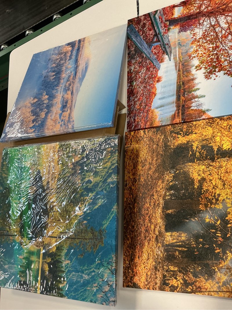 Condition photo showing Good Condition for OKEXCKK Four Seasons Landscape Canvas Wall Art Decor - Spring Summer Autumn Winter Colorful Tree Painting Modern Nature Forest Prints Artwork Picture for Bathroom Office Decoration 16"x16"x4 Panels 16x16inches*4pcs Four Seasons