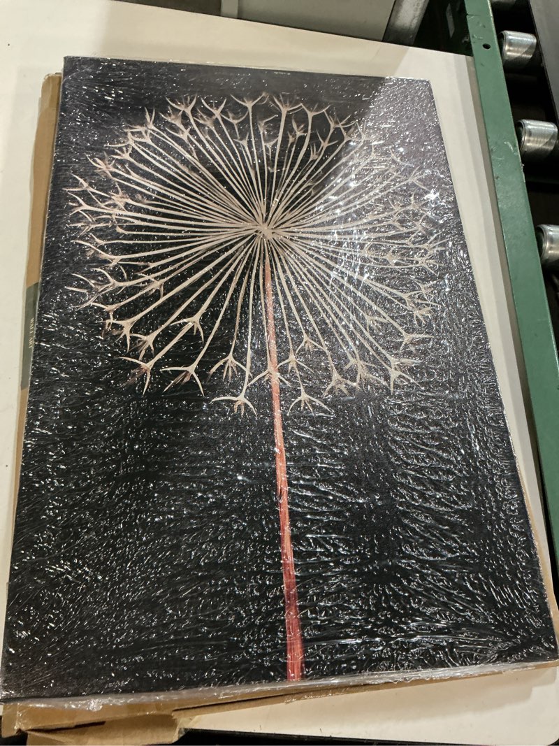 Condition photo showing New/Like New for framed dandelion plant fun wall art decor canvas print poster picture modern minimalist artwork bathroom living room bedroom office gallery decor 16x24 inch ready to hang 24"l x 16"w black dandelion