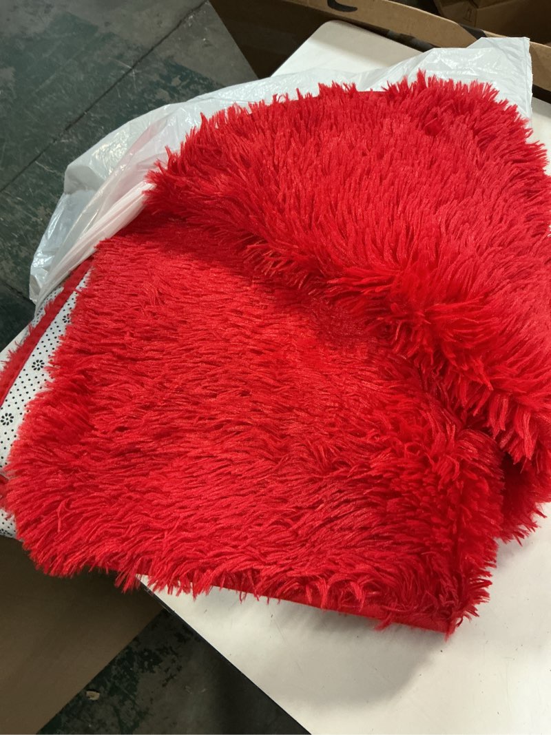 Condition photo showing Good Condition for BENRON Fluffy Red Rugs for Living Room Bedroom 4x6, Soft Plush Fuzzy Shaggy Rugs for Kids Girls Boys Room Decor, Washable Indoor Floor Carpets 4' x 6' (Rectangular) Red