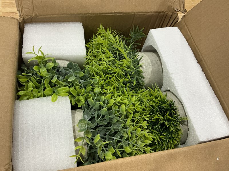 Condition photo showing Good Condition for lemonfilter small fake plants, 5 pack mini potted artificial eucalyptus plant greenery plastic fake plants faux plant for table shelve bathroom kitchen rustic farmhouse indoor decor 2 green+3 grey 5 pack
