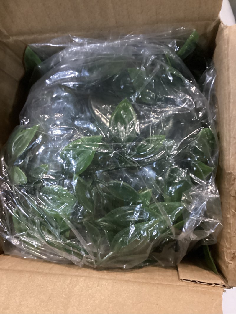 Condition photo showing Good Condition for Artificial Hanging Plants for Shelf, Fake Potted Greenery 1-Pack Faux Mandala Vines in Black Pot, Décor for Office Living Room Bathroom Indoor Outdoor 1-pack Mandala Vines