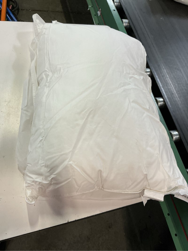 Condition photo showing As Is for premium down pillow standard