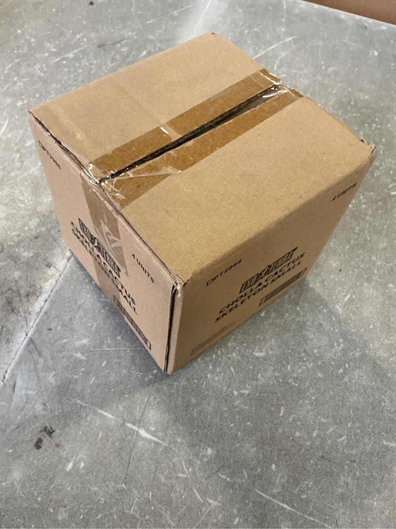 Condition photo showing New/Like New for Exo Terra Cholla Cactus Skeleton (Small)(Pack Of 4)