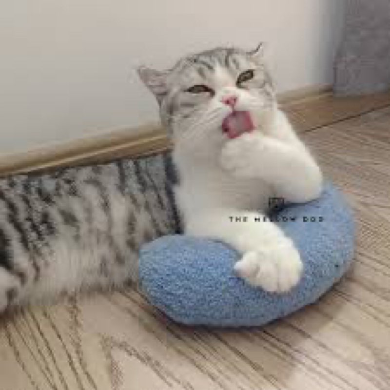 (Similar)Shimeyao  cat bet  extencion  pilow