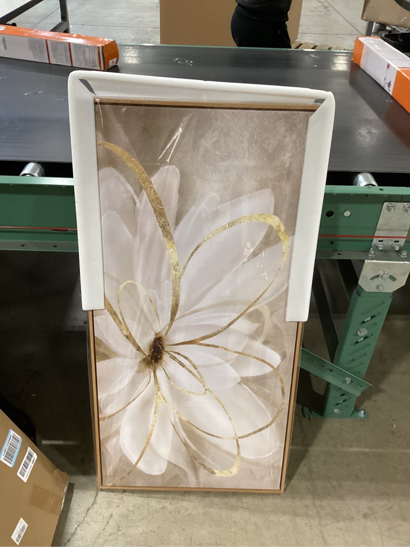 Condition photo showing Good Condition for Framed Abstract Wall Art Gold Pictures Wall Decor Line Painting on Canvas 20"x 40" Contemporary Floral Artwork for Living room Office Bedroom Aesthetic 20"x40" Gold