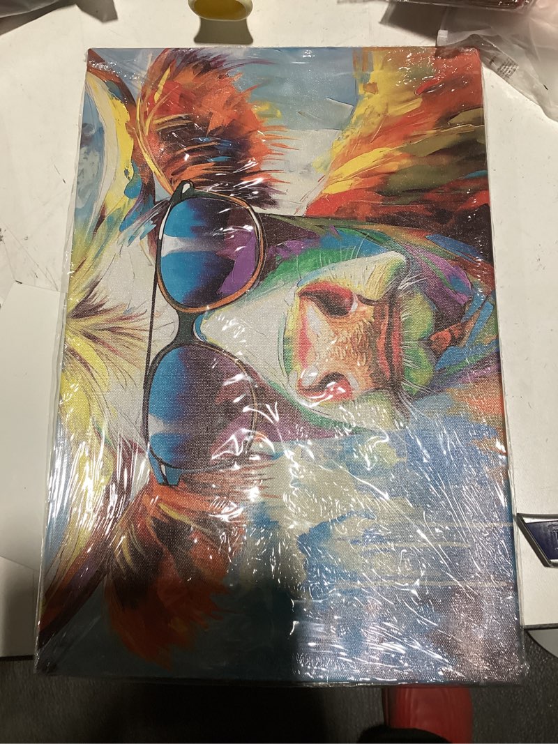 Condition photo showing New/Like New for Highland Cow Canvas Wall Art Colorful Cow with Glasses Picture Prints Graffiti Funny Animal Paintings for Kid Room Bathroom Farmhouse Nursery Decor Framed(Animal-2,12.00" x 18.00") Animal-2 12"L x 18"W