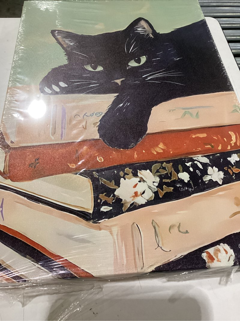 Condition photo showing New/Like New for Framed Black Cat Canvas Wall Art, Funny Cat lying on a pile of books Painting, Abstract Animal Posters Prints Wall Decor for Living Room Bathroom Gallery Dining Room Decor 16x24 inch Black Cat-O Wrapped Canvas 24"L x 16"W