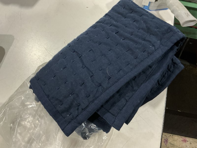 Condition photo showing As Is for european linen euro sham blue