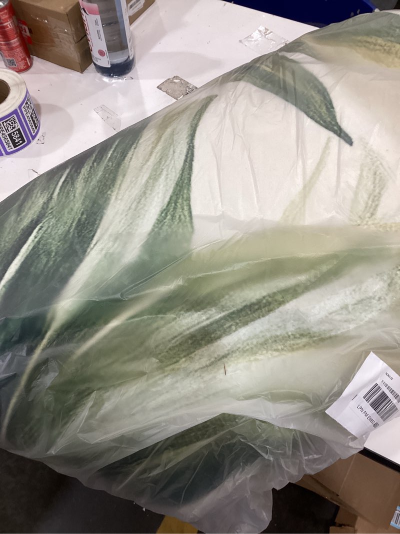 Condition photo showing As Is for Botanical Monstera Area Rug for Living Room Boho Floral 8x10 Entryway Rug Modern Tropical Leaves Rugs Non Slip Low Pile Machine Washable Green Palm Floor Carpet for Indoor Bedroom Dining Room Kitchen Tropical Leaves 8'x10'