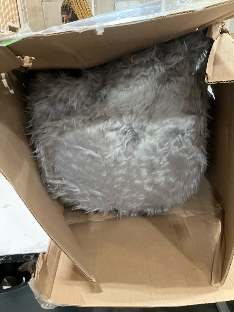 Condition photo showing As Is for beanbag chair