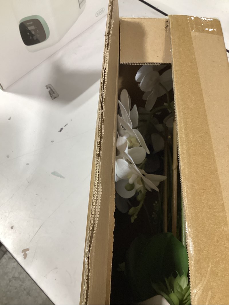 Condition photo showing Good Condition for briful orchid artificial flowers 18in white fake orchid silk flowers with ceramic pot faux orchid arrangement for home office room coffee table centerpiece modern decoration white#1