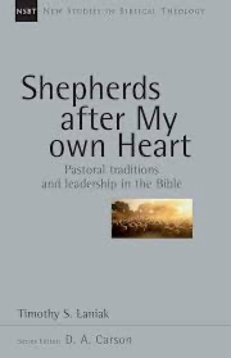 Shepherds After My Own Heart: Pastoral Traditions and Leadership in the Bible (Volume 20) (New Studi