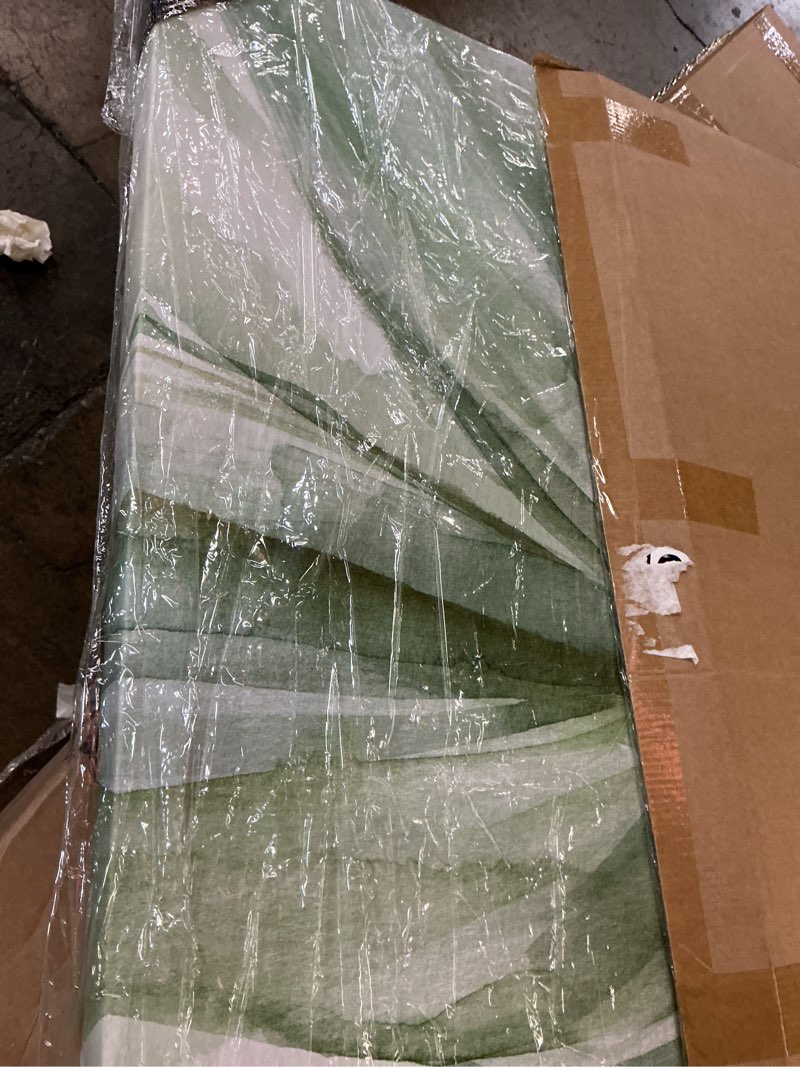 Condition photo showing New/Like New for Wexford Home Macro Sage Flower II Gallery Wrapped Canvas Wall Art, 40x40,