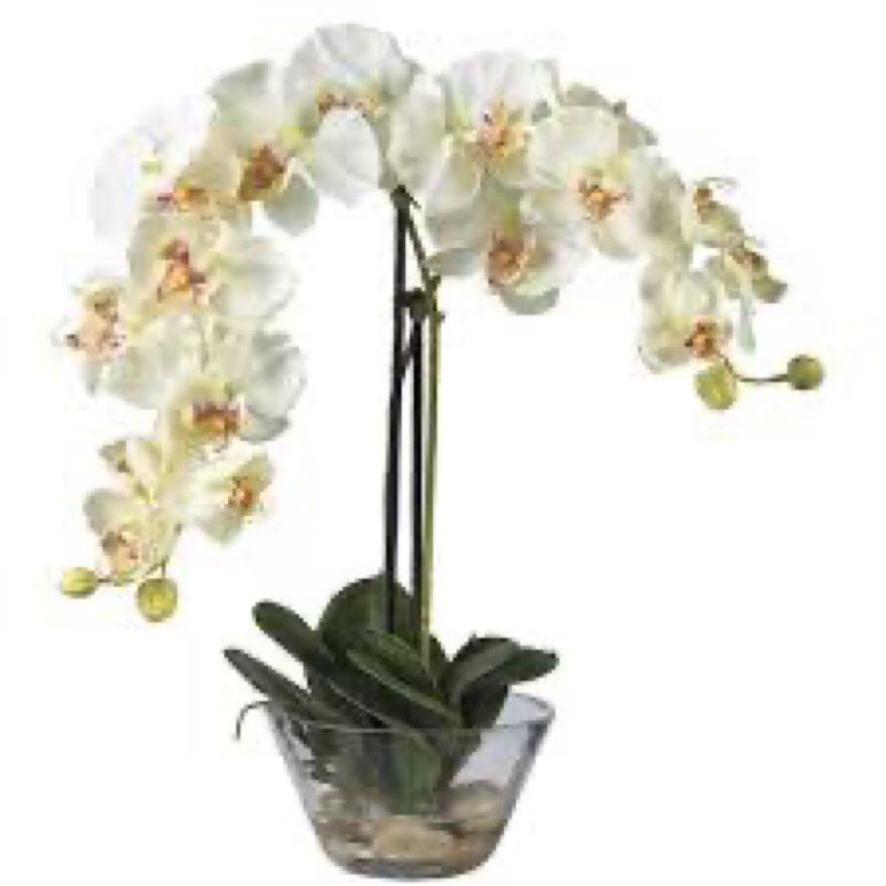 (Glass broken). Nearly Natural 4643-WH Phalaenopsis with Glass Vase Decorative Silk Flower Arrangement, White 29 x 1