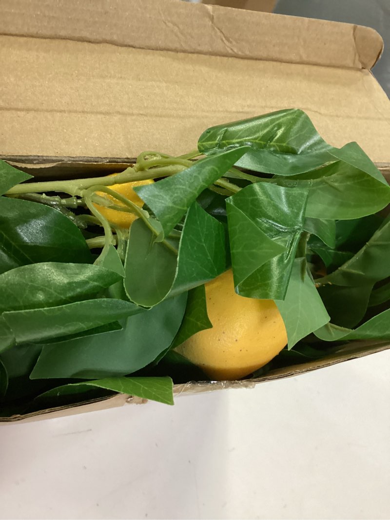 Condition photo showing Good Condition for dallisten 3 strands lemon artificial vines, 71" lemon silk vine garland with green leaves, fake hanging plants greenery decor for home, bedroom, wall, party, wedding decoration lemon vine