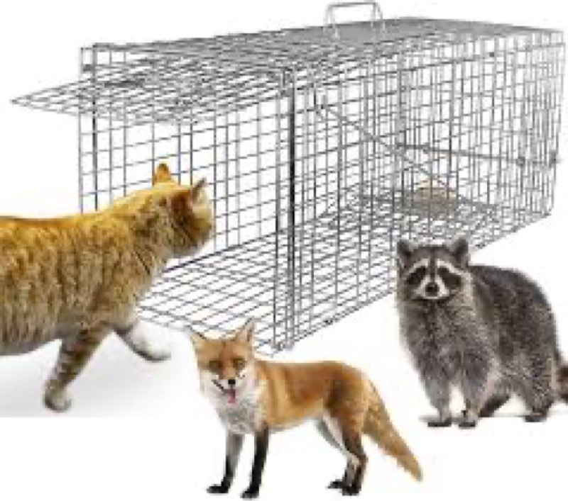 TeqHome Live Animal Cage Trap, Collapsible Humane Live Animal Cage Trap, Galvanized Steel Humane Liv