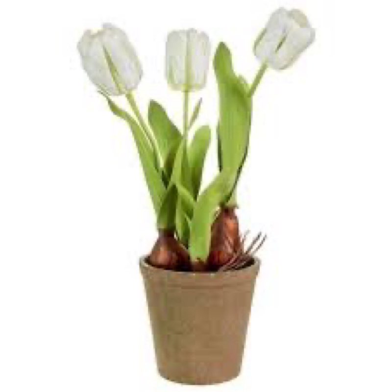 Real touch potted tullps stem in pot 3 pcs 