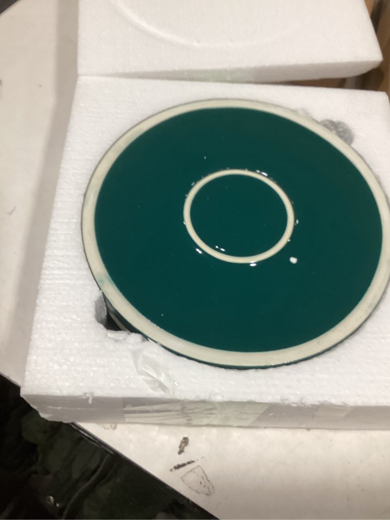 Condition photo showing Good Condition for 2 Pack Ceramic Plant Saucer Pot Tray 8 Inch, Planter Saucers 4 5 6 7 8 9 10 11 12 Inch for Indoors Outdoor, Durable Sturdy Flower Drainage Tray for Glazed Pots Base (8.5 Inch Green) 8.5in 2pack Green