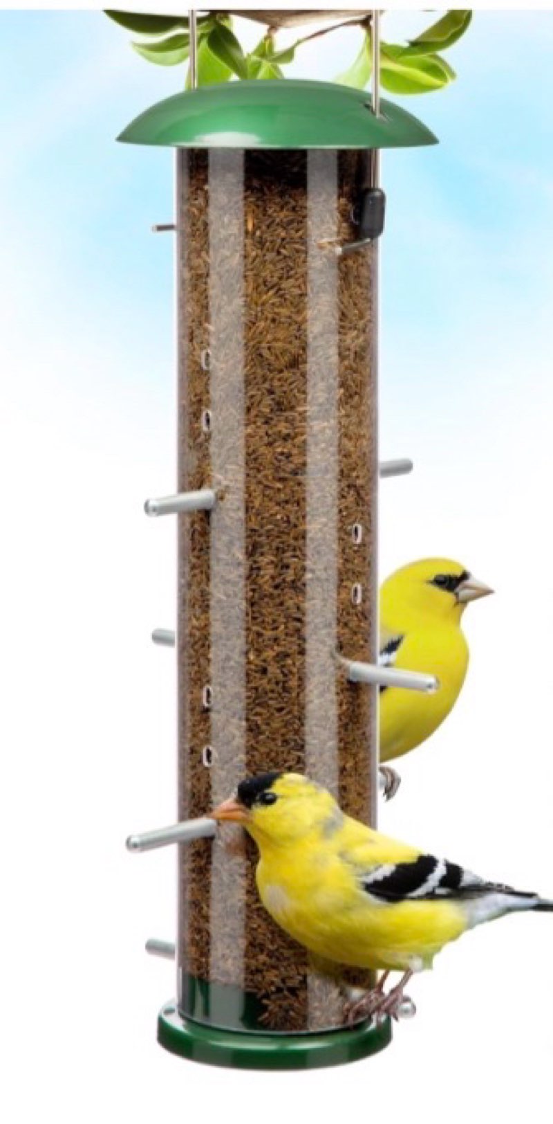 Finch bird feeder