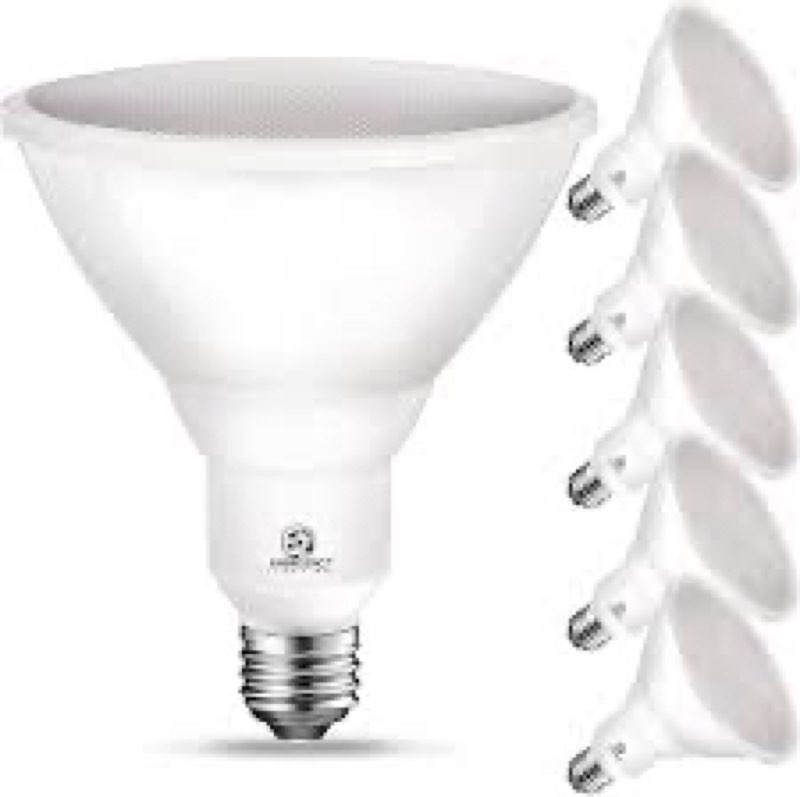 Energetic PAR38 Outdoor LED Flood Light Bulb, 5000K Daylight, 90 Watt Equivalent, Wet Rated, 900LM, 