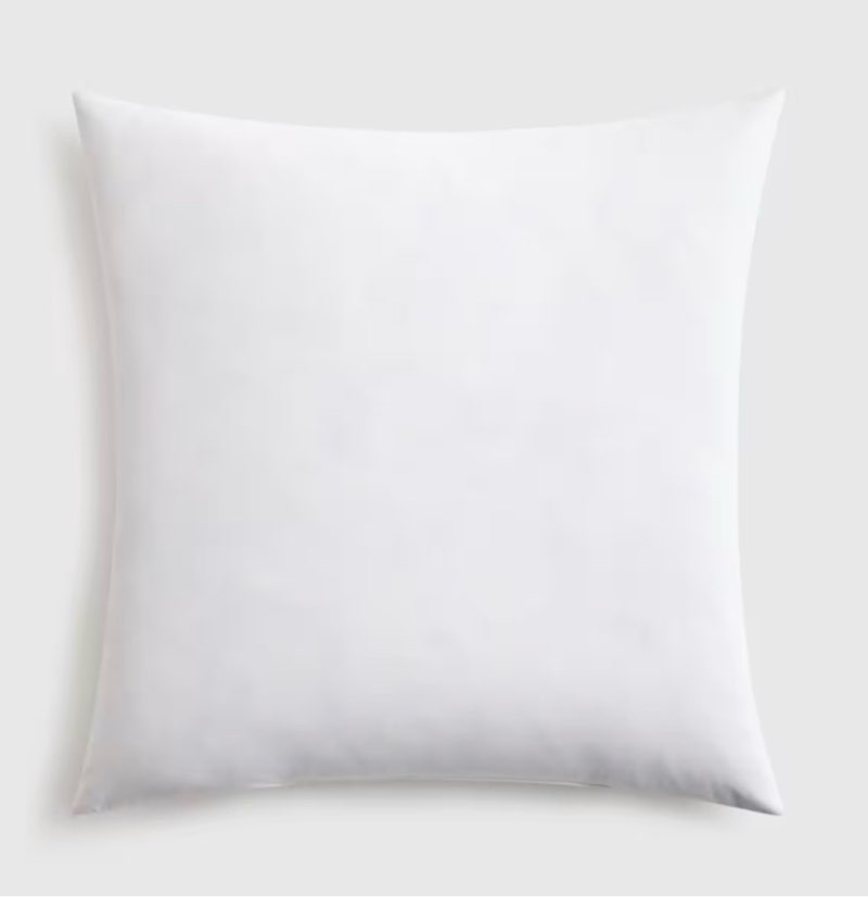 premium feather pillow insert-22 x22 white