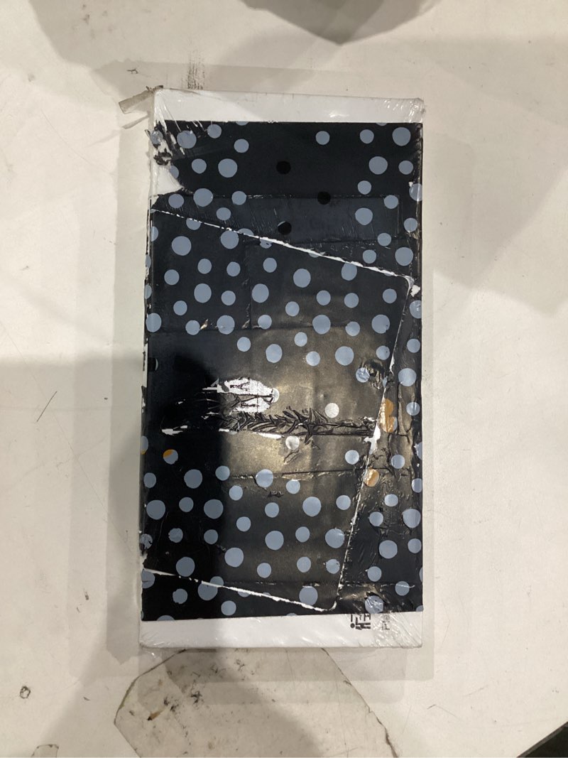 digital voice recorder 