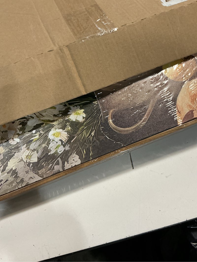 Condition photo showing New/Like New for Floating Framed Vintage Floral Still Canvas Wall Art Lemon Kitchen Coffee Painting Picture Wall Decor Neutral Daisy Rustic Country Poster Print Artwork for Kitchen Livingroom Home Decoration Canvas 24"L x 16"W