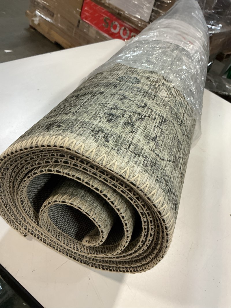 Condition photo showing Good Condition for Loloi Skye Collection SKY-14 Natural/Sage 2'-6" x 10'-0" Runner Rug 2'6" x 10' (Rectangular) Natural / Sage