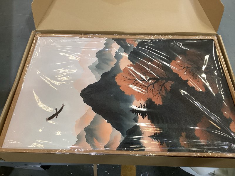 Condition photo showing New/Like New for celestdeco large boho mountain framed canvas wall art set,brown ridge landscape wall decor,pine tree scenery wall painting, sunrise abstract wilderness art print for living room,bedroom,office-16"x24"x3 brown ridge landscape wall art 16"l x 24"w