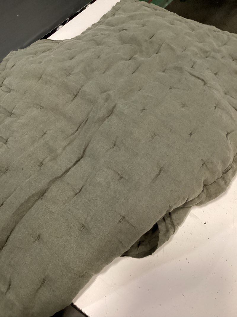 Condition photo showing Good Condition for european linen dream sham set green king 